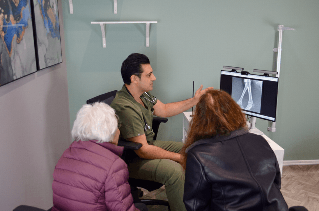 Elderly patient consultation with doctor and carer
